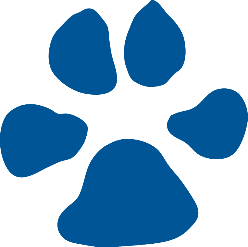 North Carolina Asheville Bulldogs 1998-Pres Alternate Logo diy iron on heat transfer